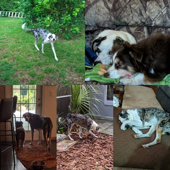 Meet your Posher, Shawne - Picture 8 of 16